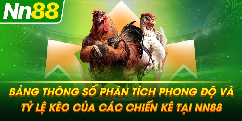 Bảng thông số phân tích phong độ và tỷ lệ kèo của các chiến kê tại NN88