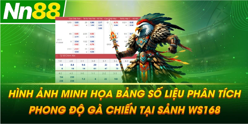 Hình ảnh minh họa bảng số liệu phân tích phong độ gà chiến tại sảnh WS168